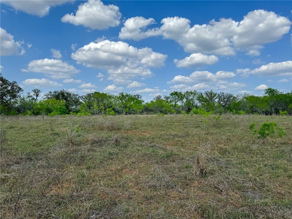 10 acres in Bee County - photo 12