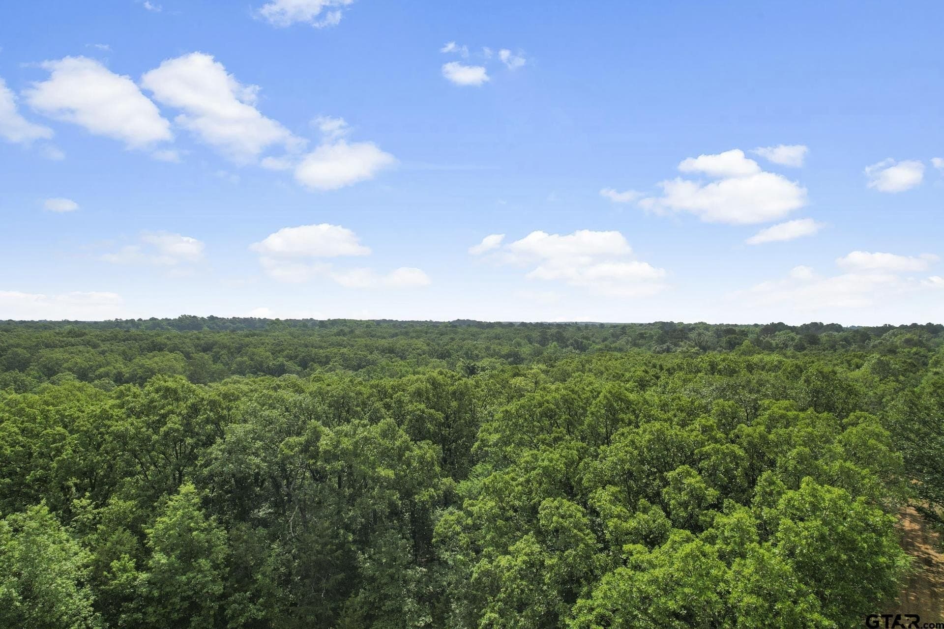 34 acres in Camp County - photo 14