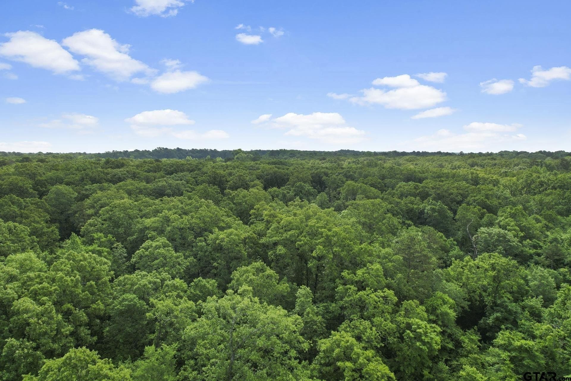 34 acres in Camp County - photo 17