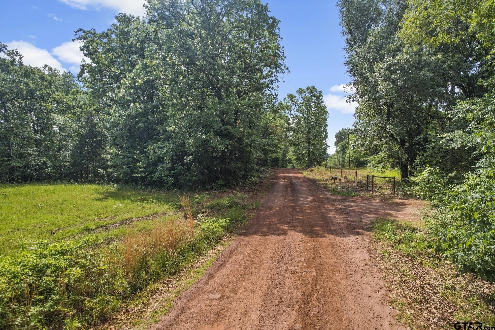 34 acres in Camp County - photo 4