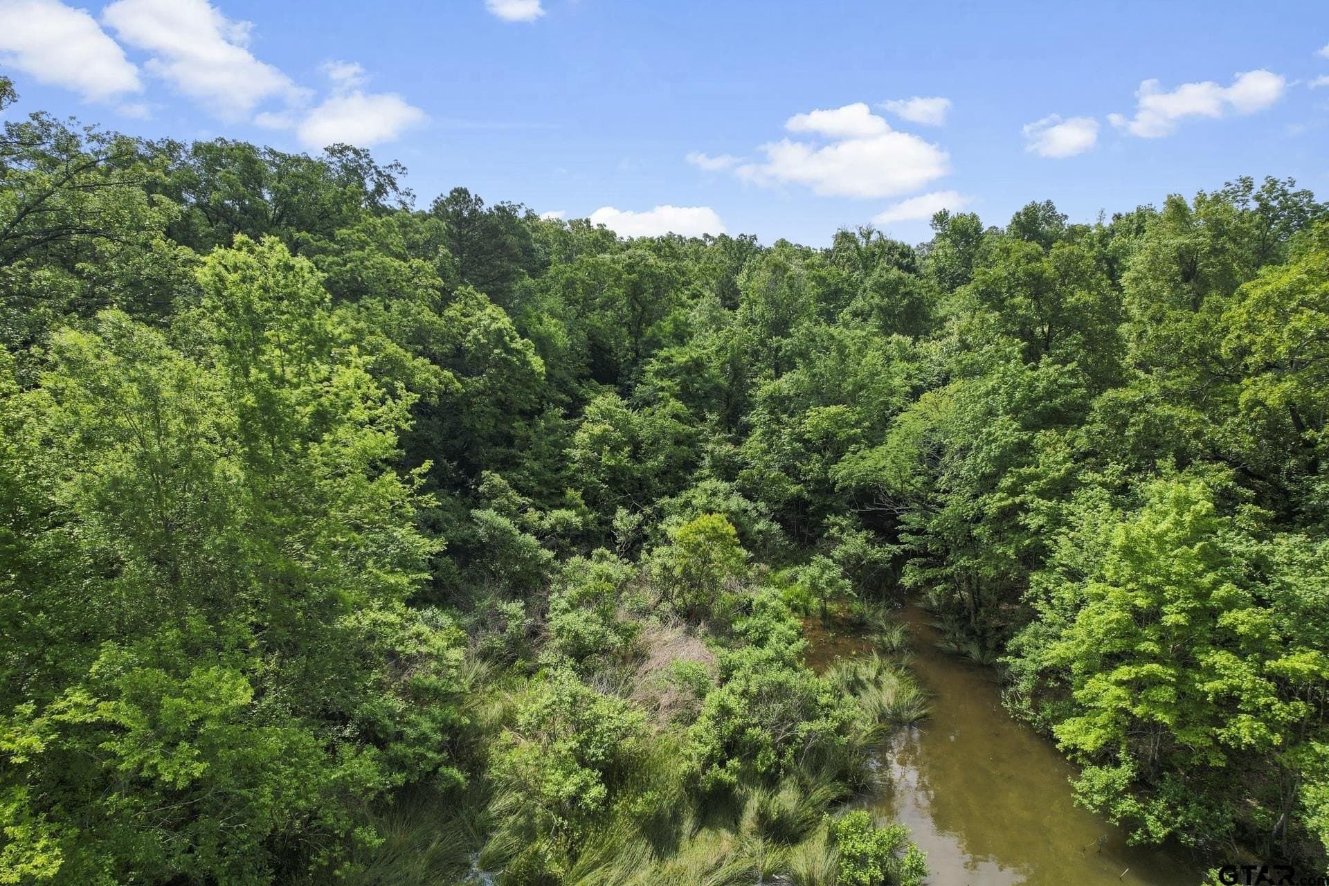 34 acres in Camp County - photo 15
