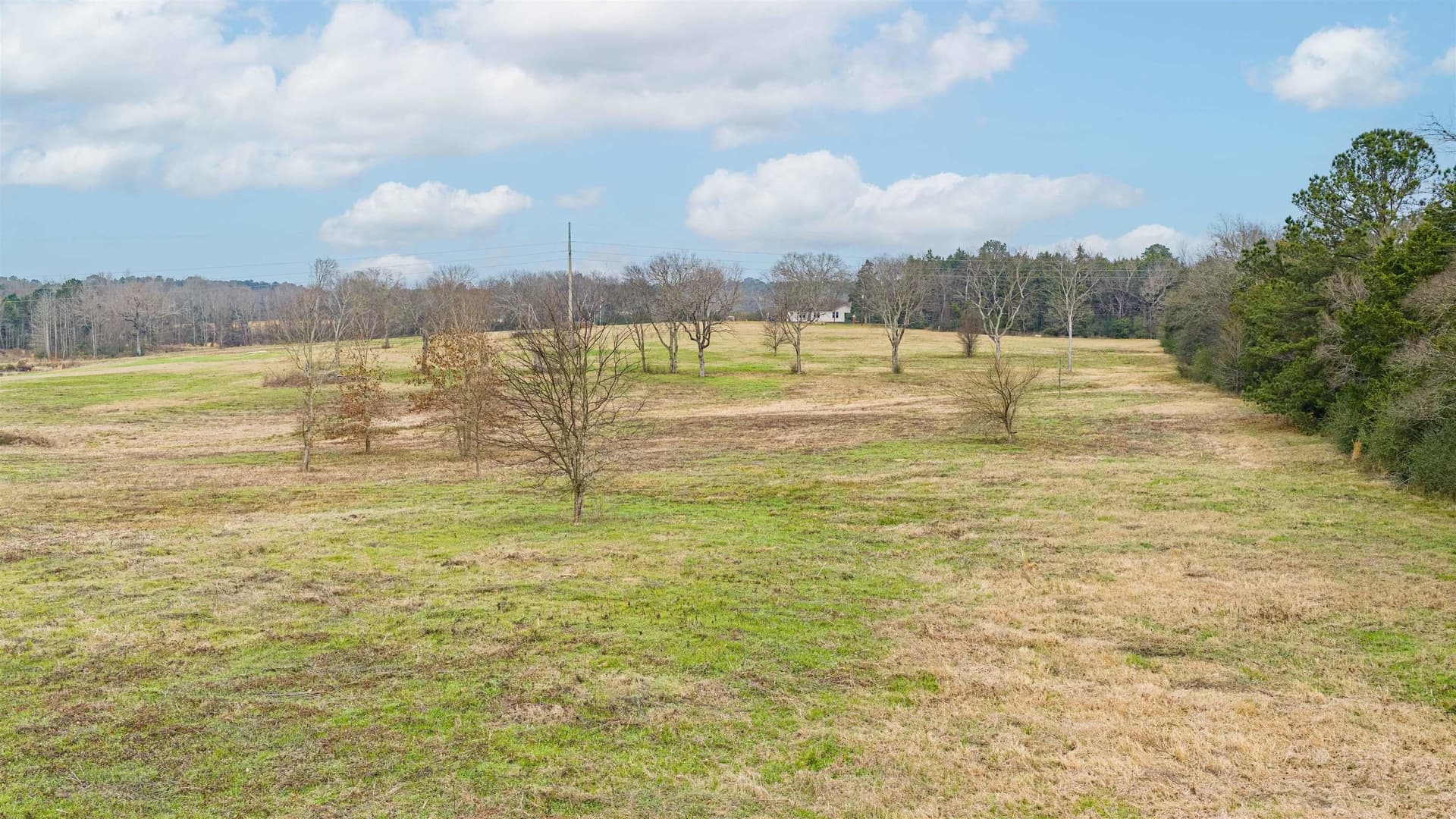 33 acres in Texas County - photo 22