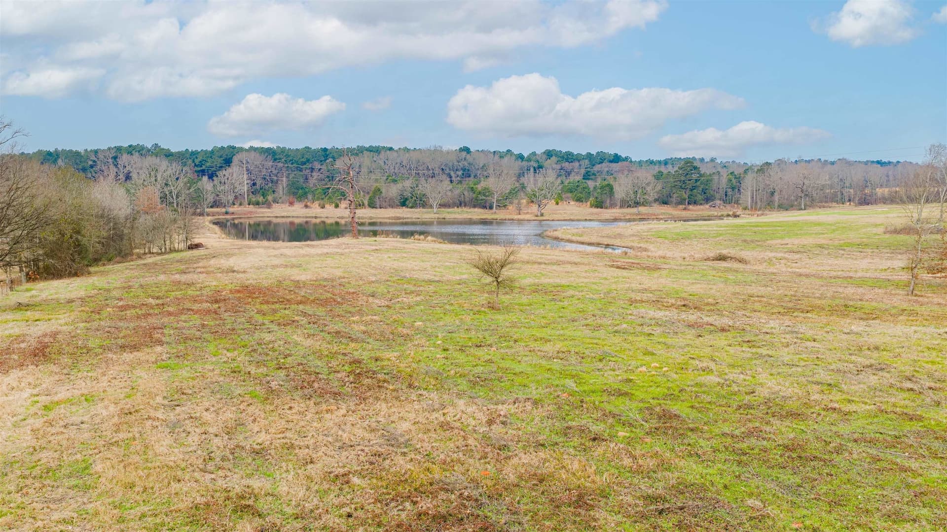 33 acres in Texas County - photo 21