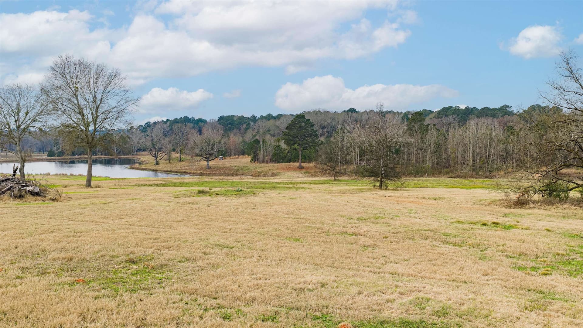 33 acres in Texas County - photo 4