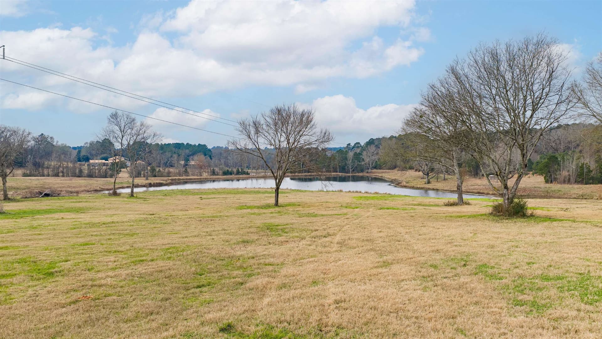 33 acres in Texas County - photo 5