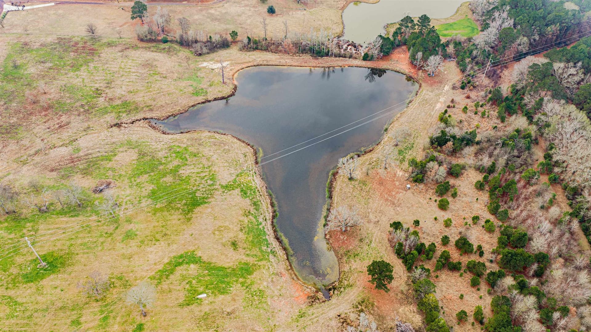 33 acres in Texas County - photo 16