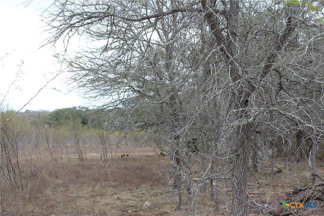 15 acres in Guadalupe County - photo 8