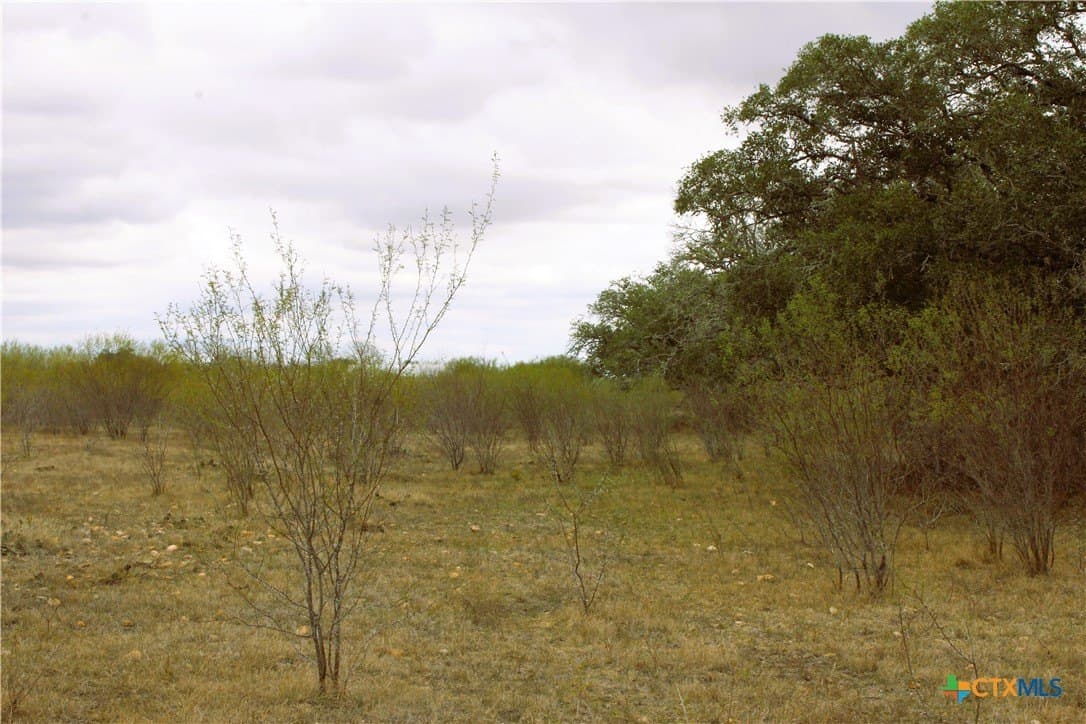 15 acres in Guadalupe County - photo 13