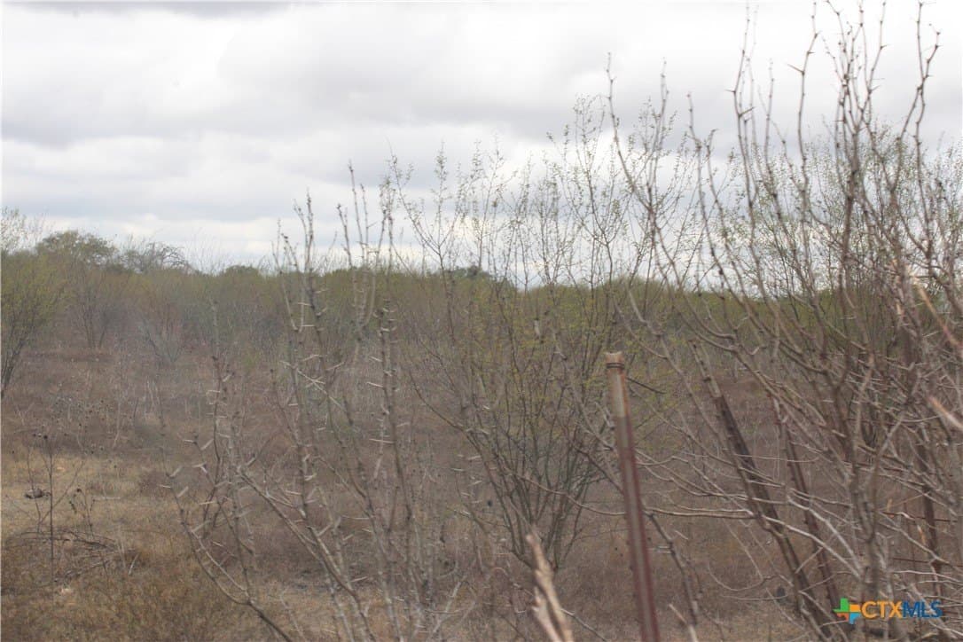 15 acres in Guadalupe County - photo 16