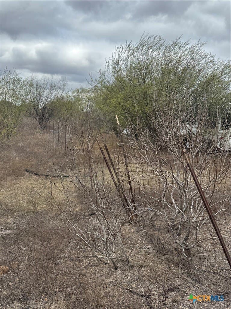 15 acres in Guadalupe County - photo 18