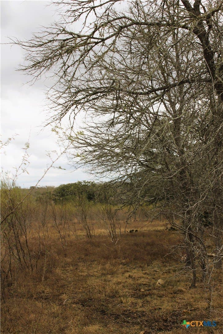 15 acres in Guadalupe County - photo 7