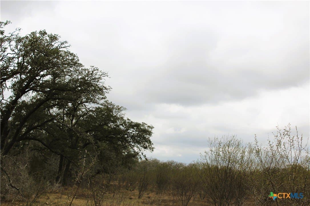 15 acres in Guadalupe County - photo 15