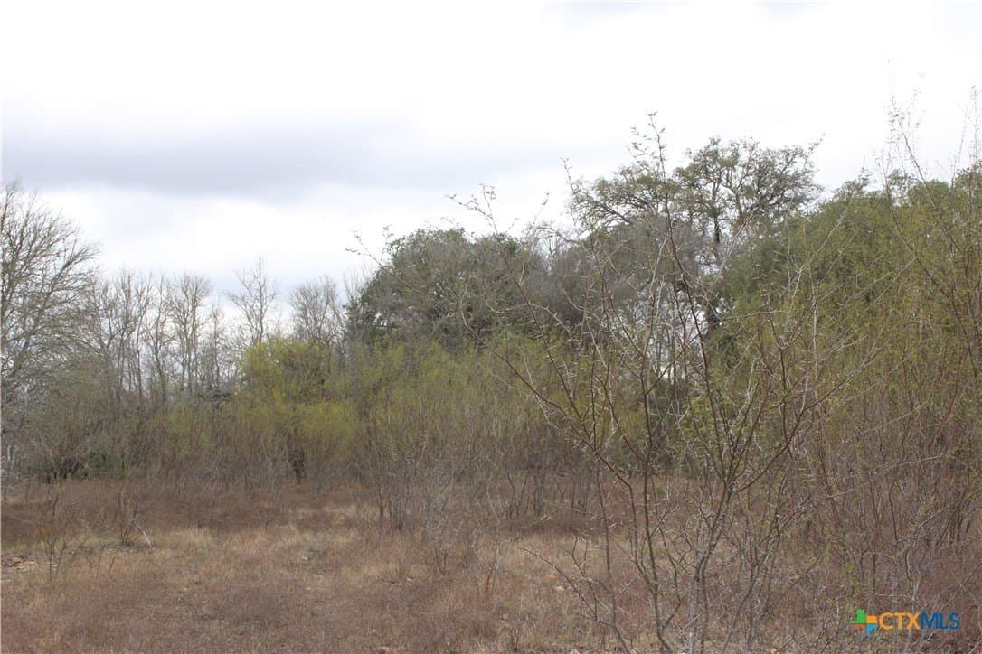 15 acres in Guadalupe County - photo 10