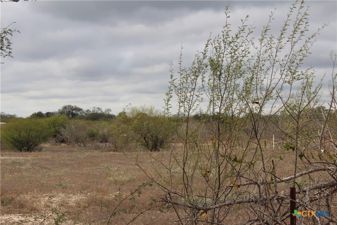 15 acres in Guadalupe County - photo 17