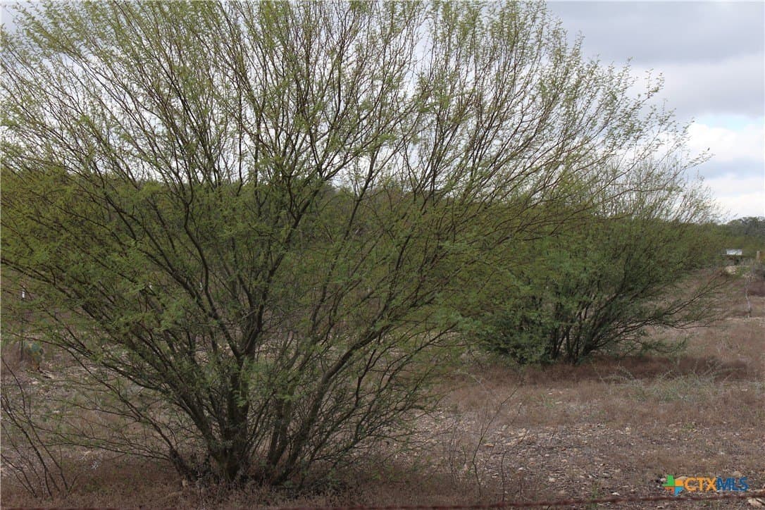 15 acres in Guadalupe County - photo 2