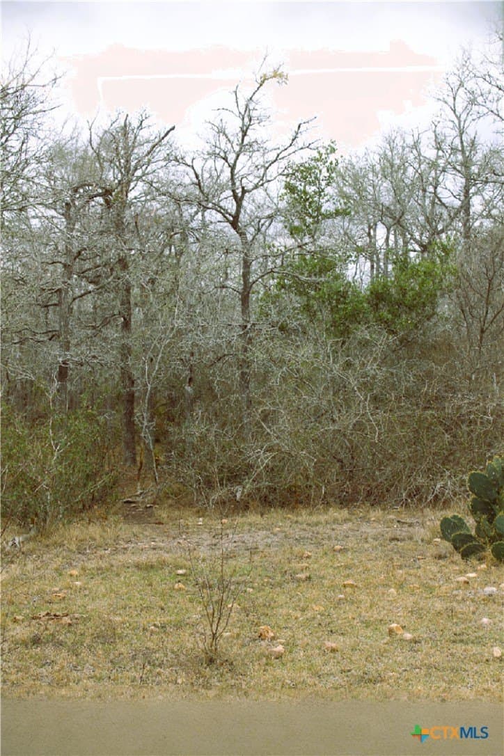 15 acres in Guadalupe County - photo 11