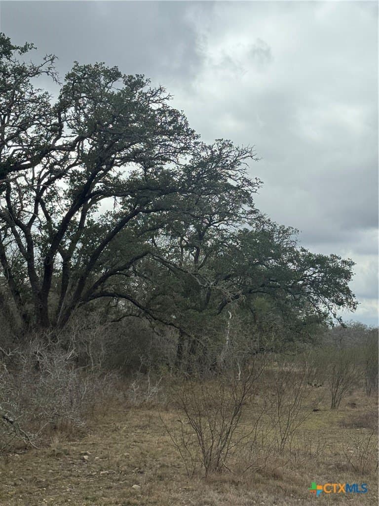 15 acres in Guadalupe County - photo 12