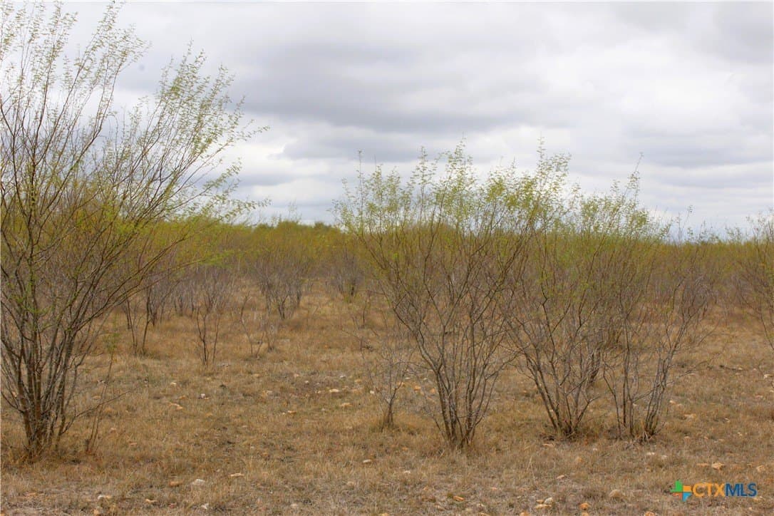 15 acres in Guadalupe County - photo 14