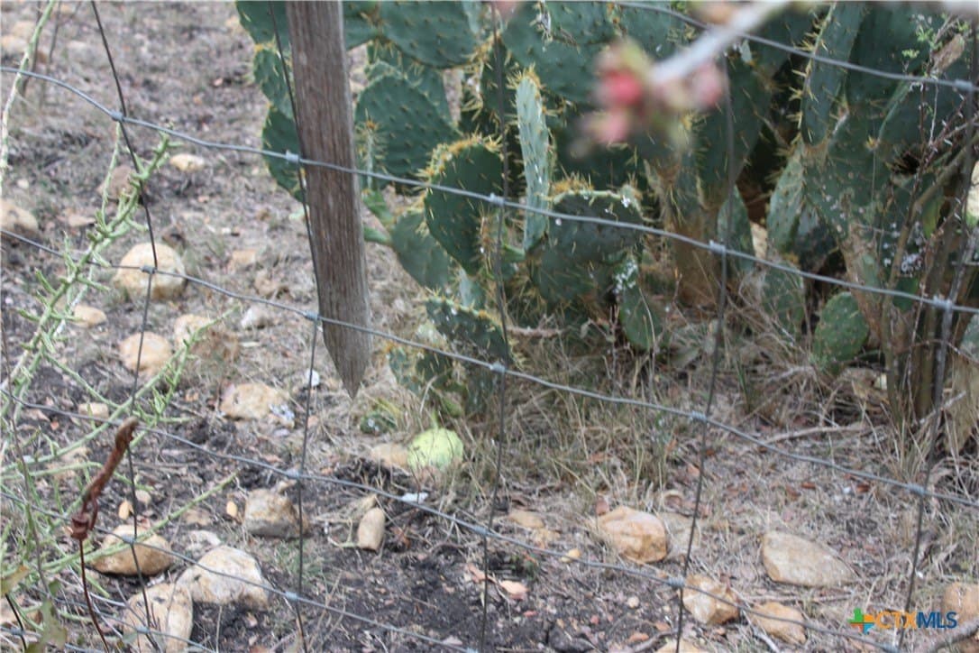 15 acres in Guadalupe County - photo 4