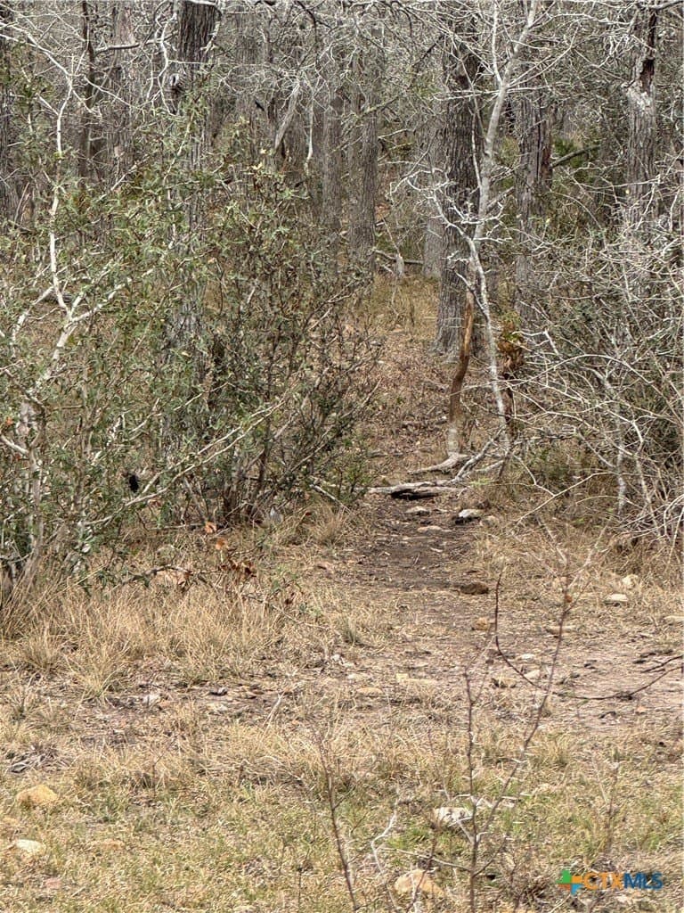 15 acres in Guadalupe County - photo 20