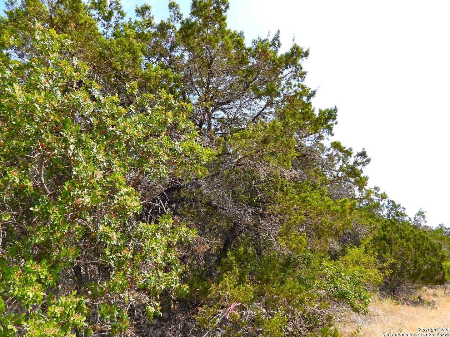 1 acres in Bandera County - photo 5