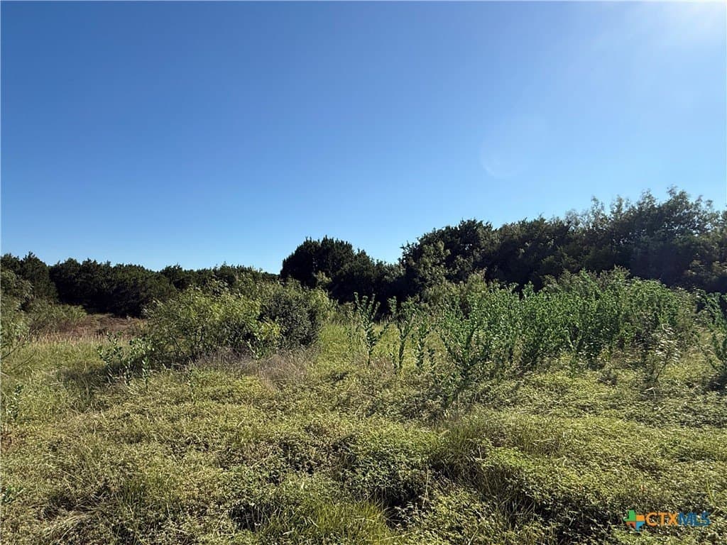 17.84 acres in Lampasas County - photo 9