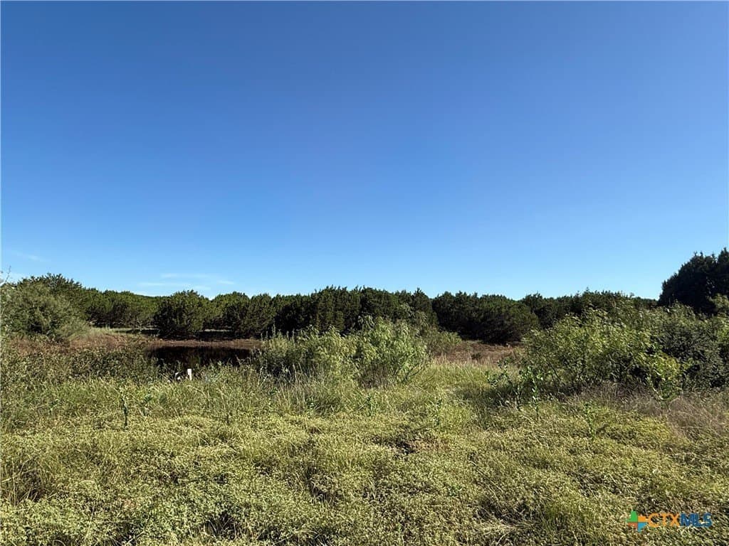 17.84 acres in Lampasas County - photo 8
