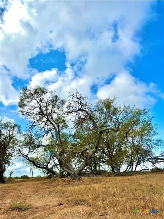 3.6 acres in Caldwell County - photo 3