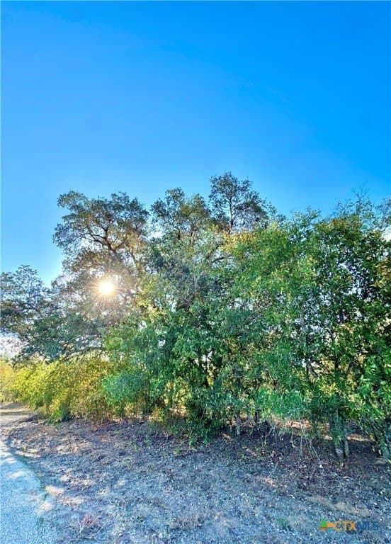 3.6 acres in Caldwell County - photo 8