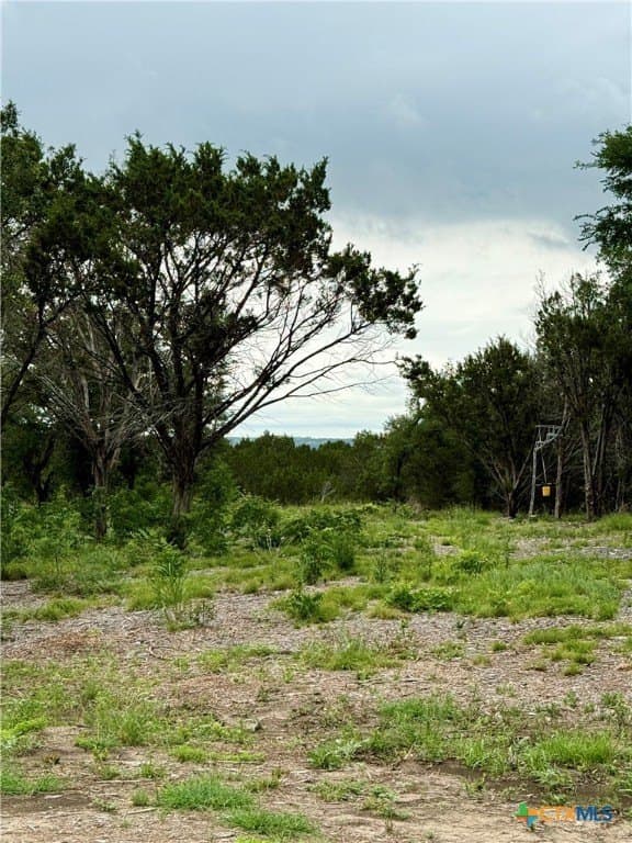 10.1 acres in Coryell County - photo 30