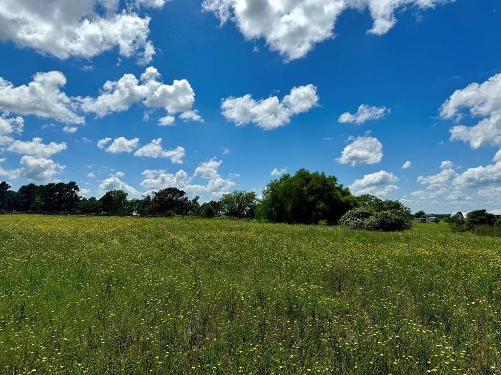2.12 acres in Henderson County - photo 11