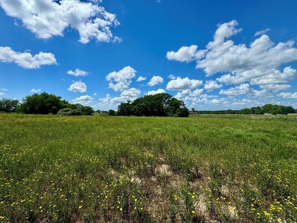 2.12 acres in Henderson County - photo 7