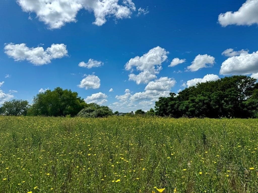 2.12 acres in Henderson County - photo 6