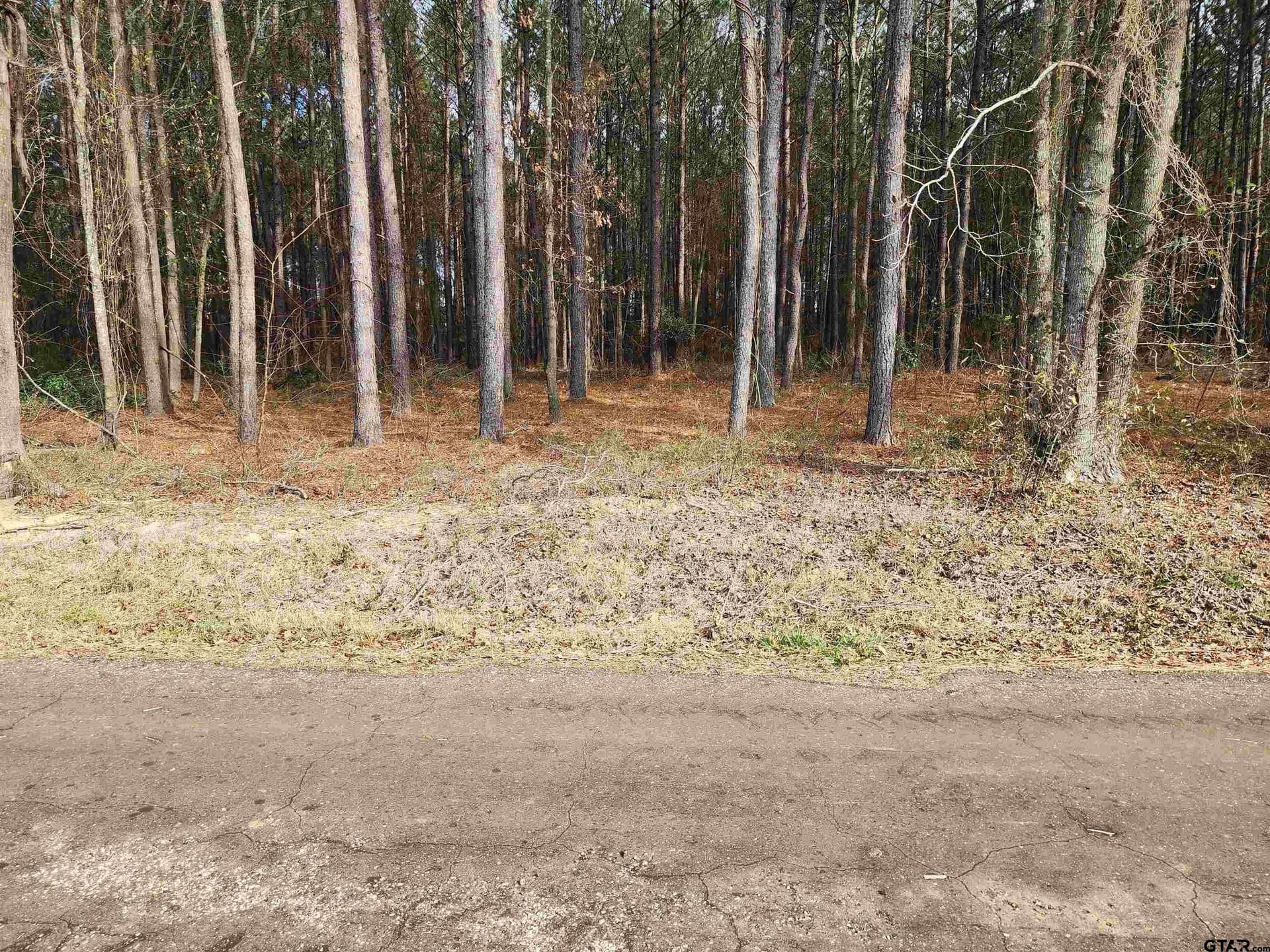 2 acres in Camp County - photo 2