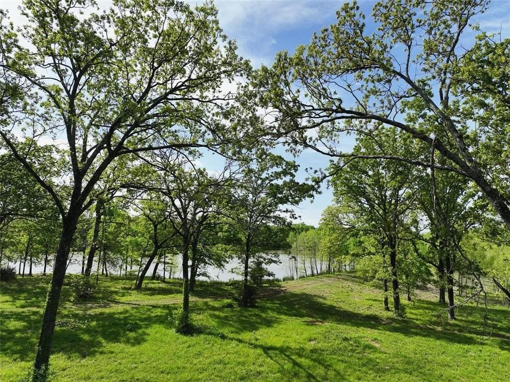 0.04 acres in Titus County - photo 32