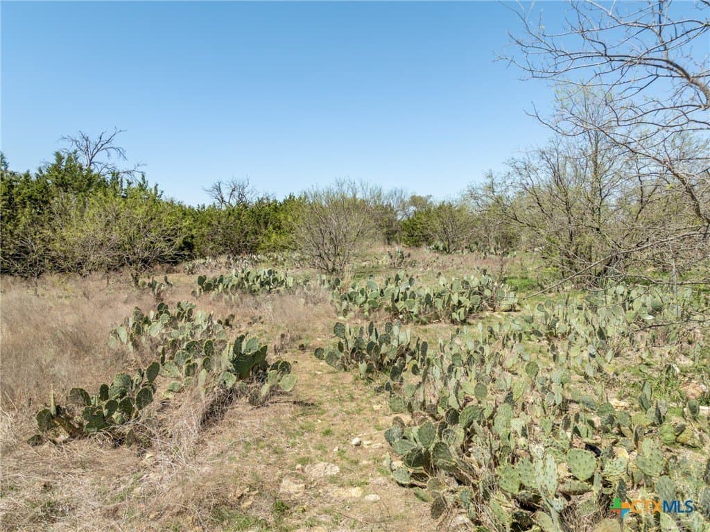 22.89 acres in Coryell County - photo 13
