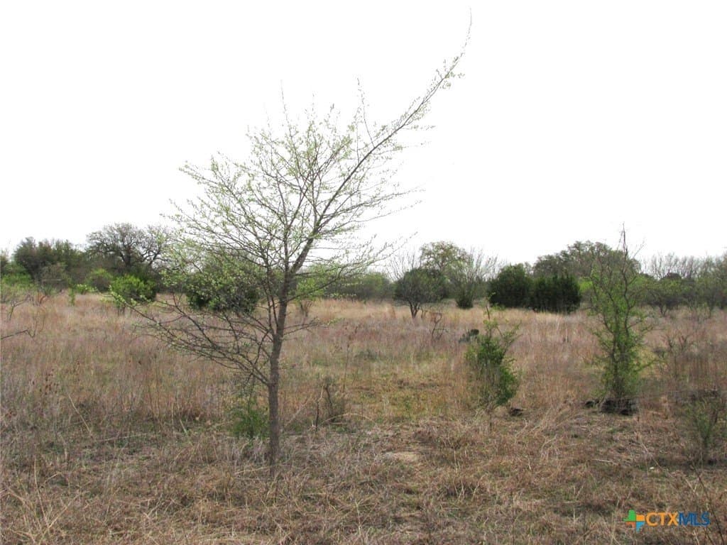 22.89 acres in Coryell County - photo 38