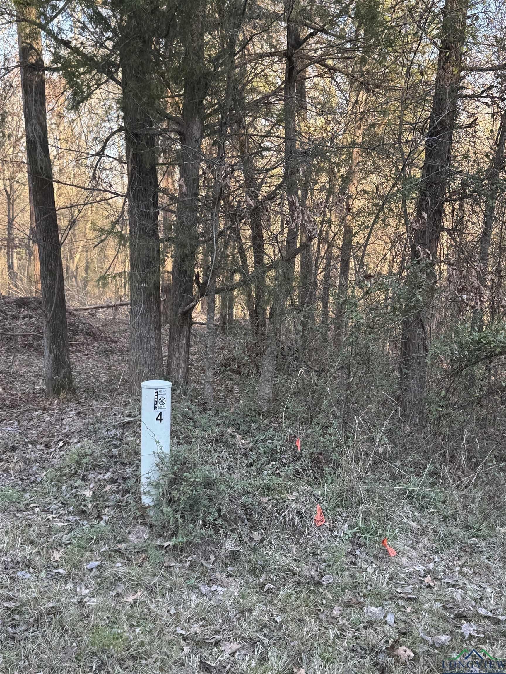 15 acres in Morris County - photo 9