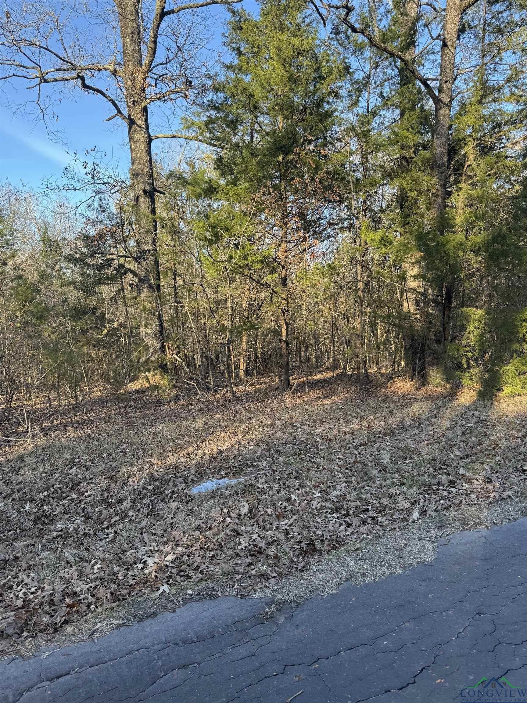 15 acres in Morris County - photo 6