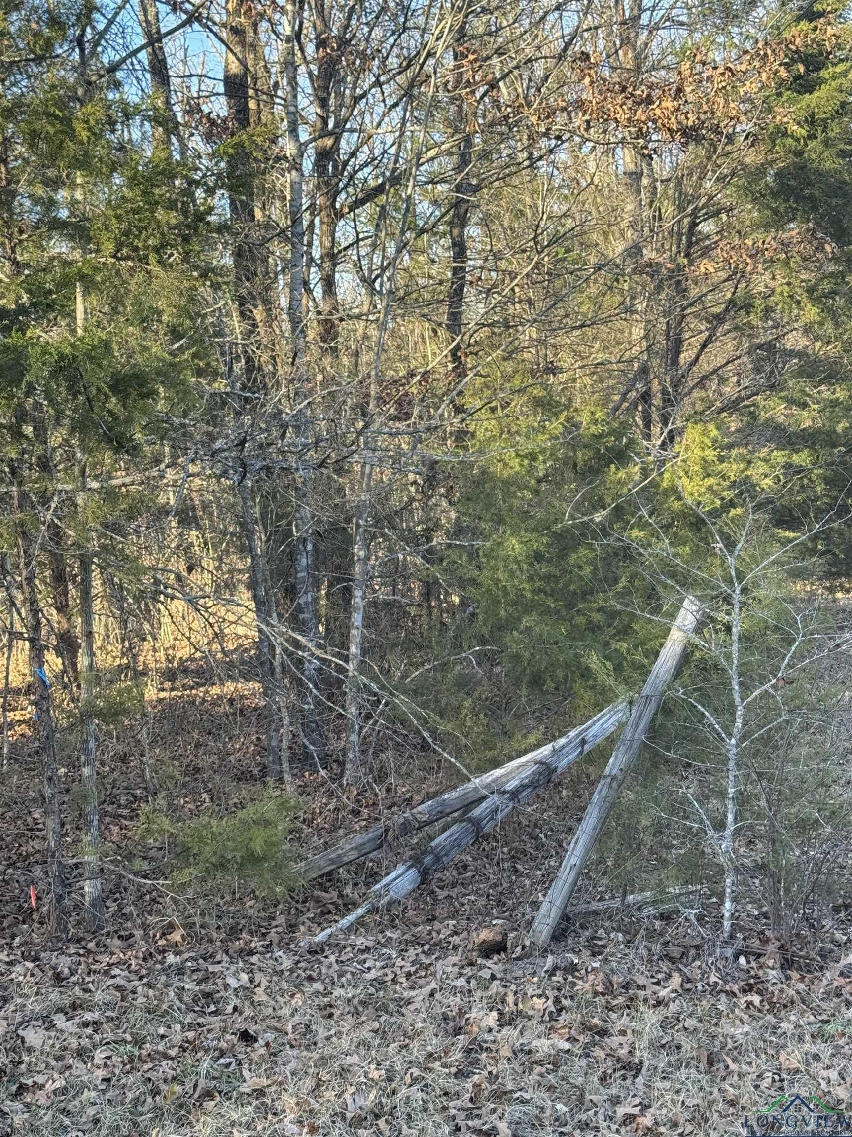 15 acres in Morris County - photo 8