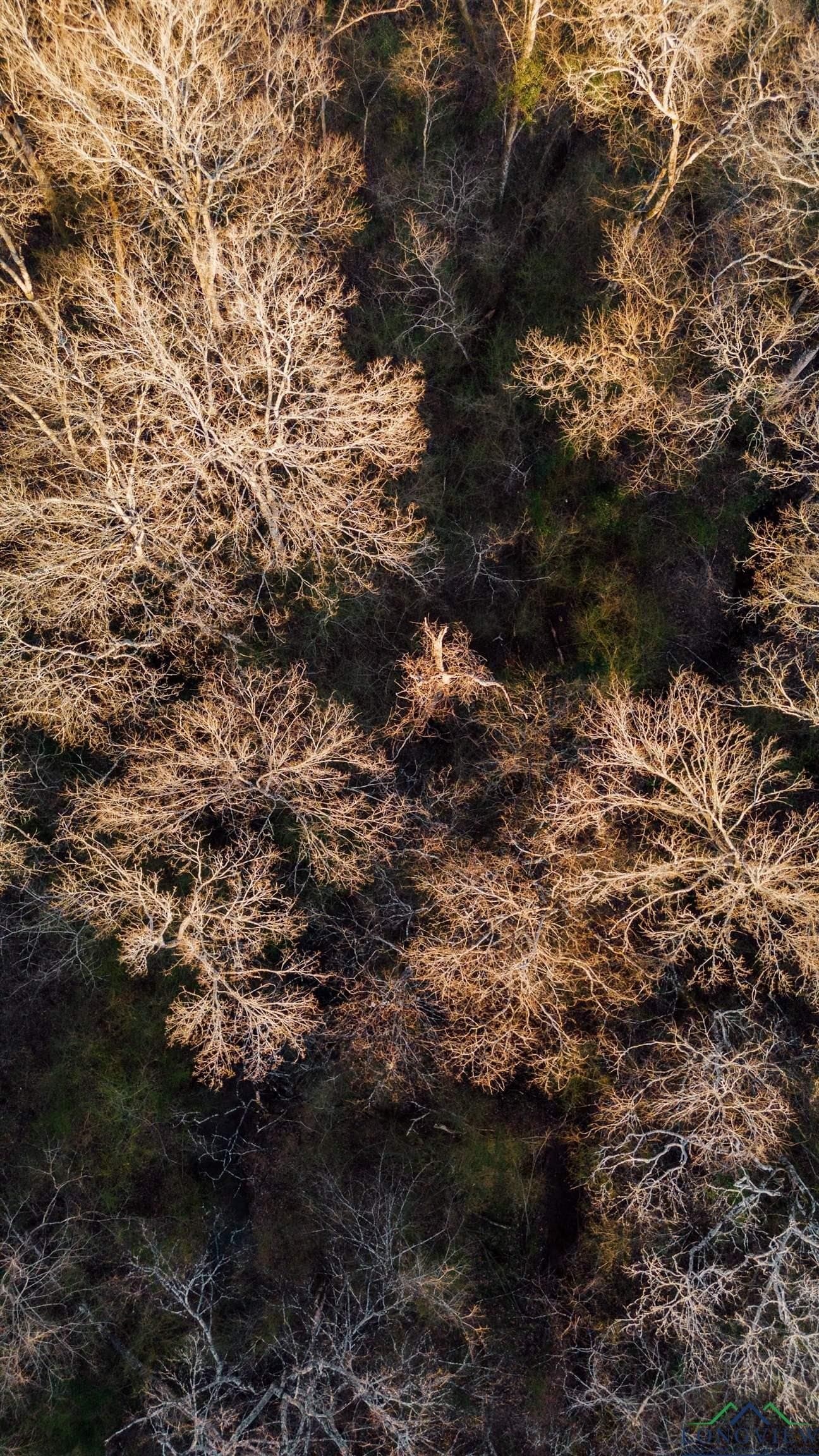 15 acres in Morris County - photo 4