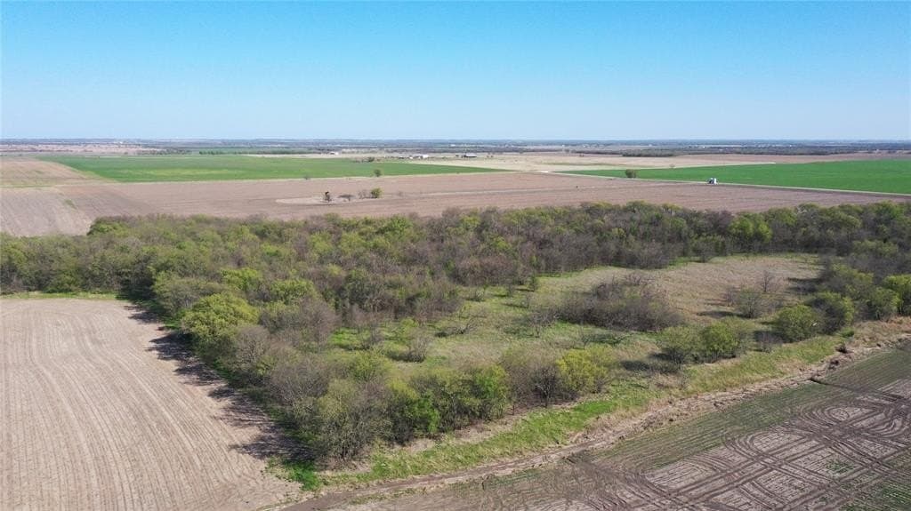 80.91 acres in Grayson County - photo 19