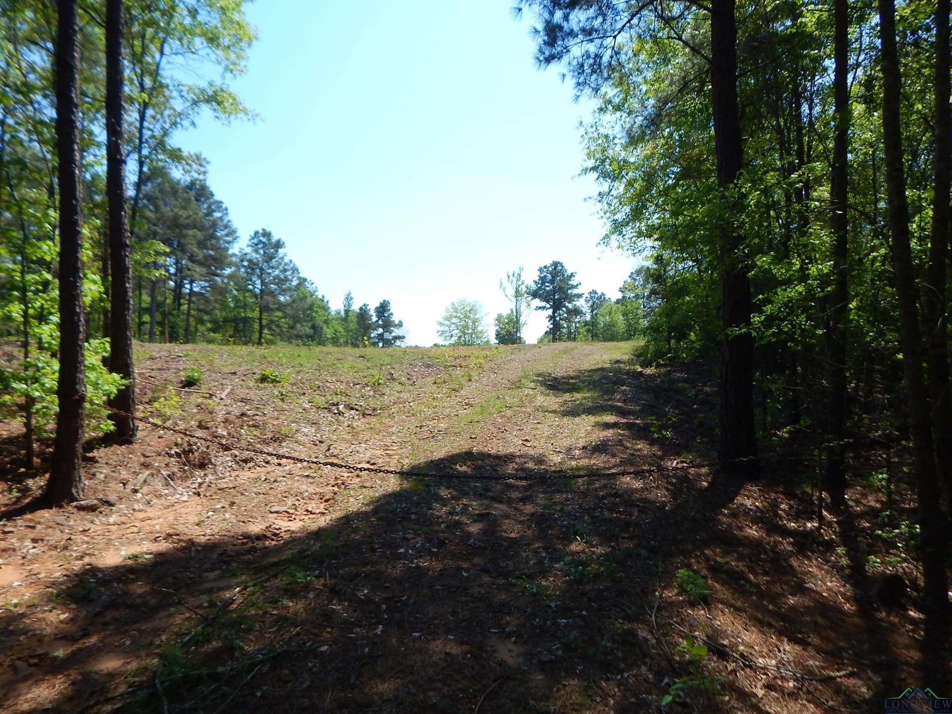15 acres in Upshur County - photo 2