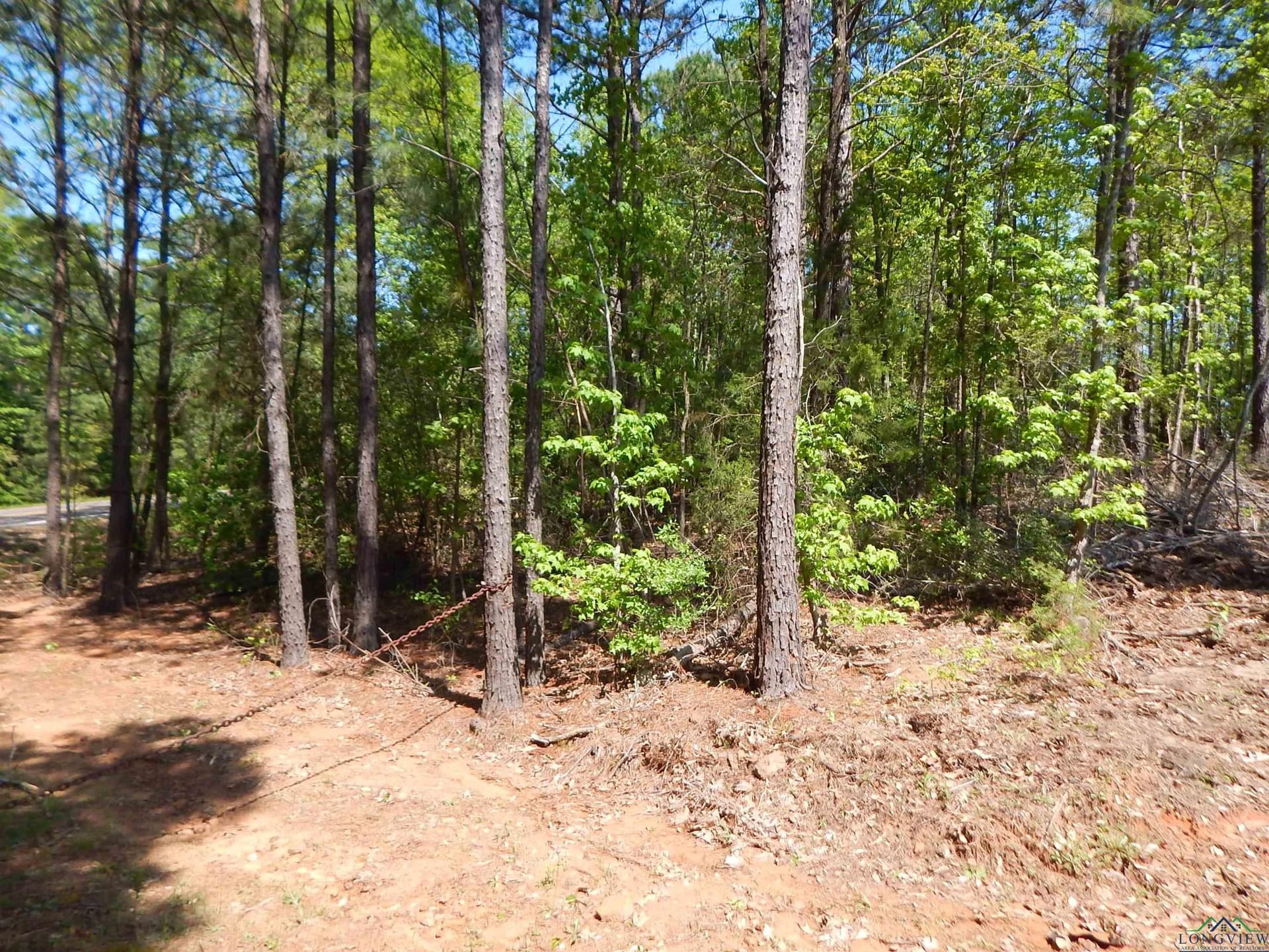 15 acres in Upshur County - photo 3