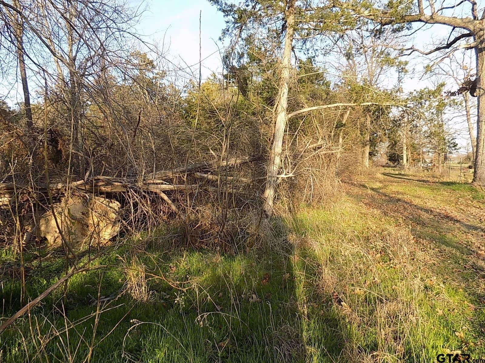 0.78 acres in Rains County - photo 6
