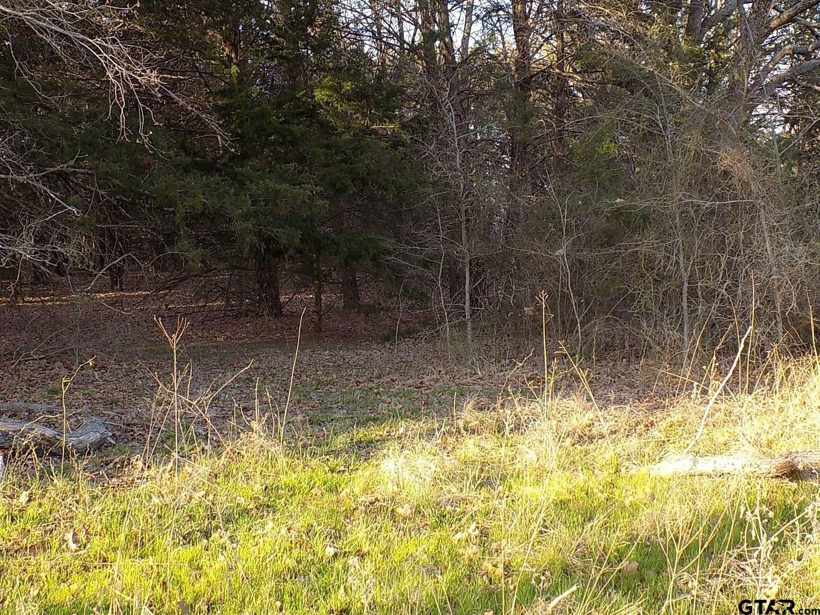 0.78 acres in Rains County - photo 10