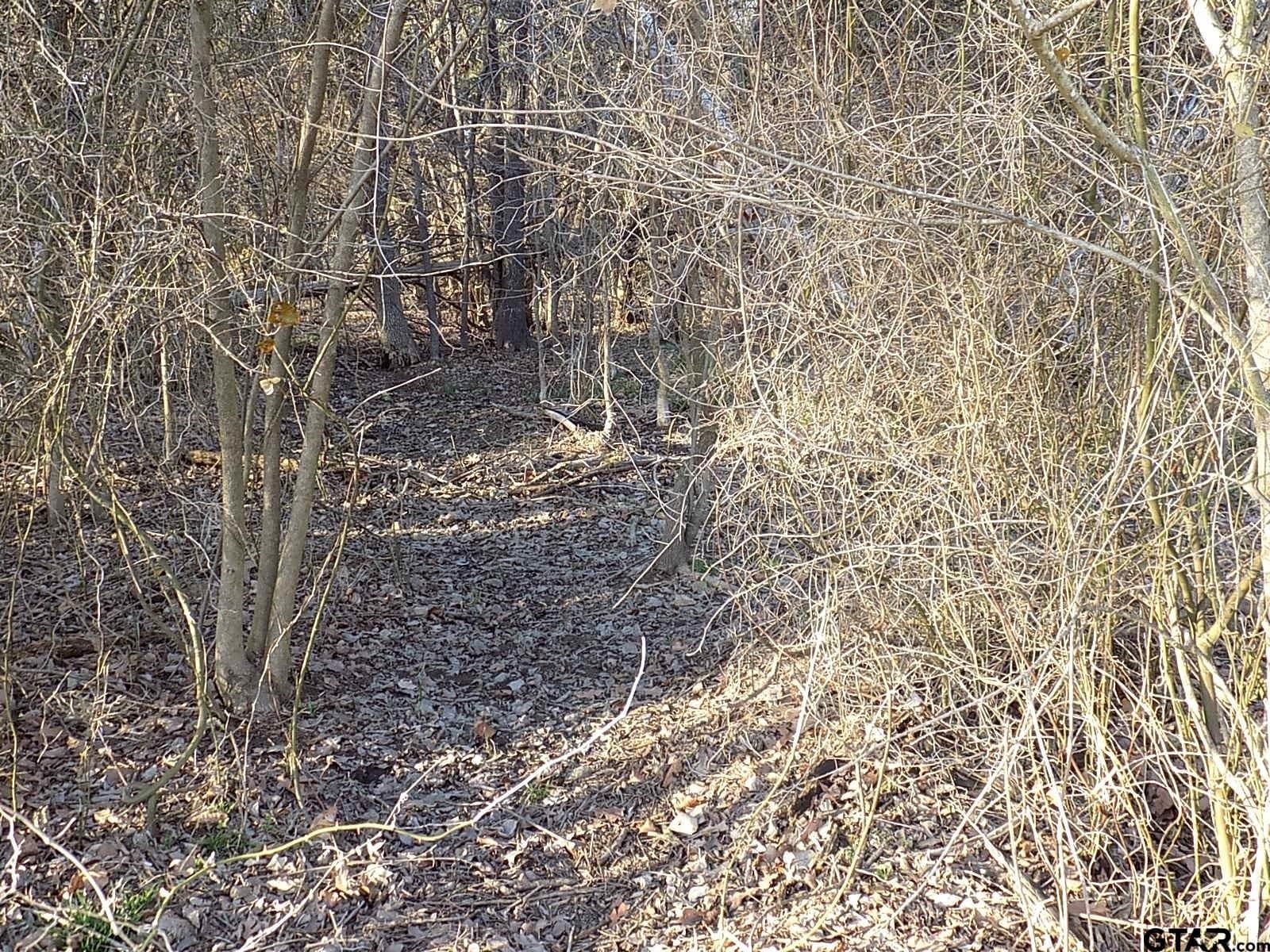 0.78 acres in Rains County - photo 9