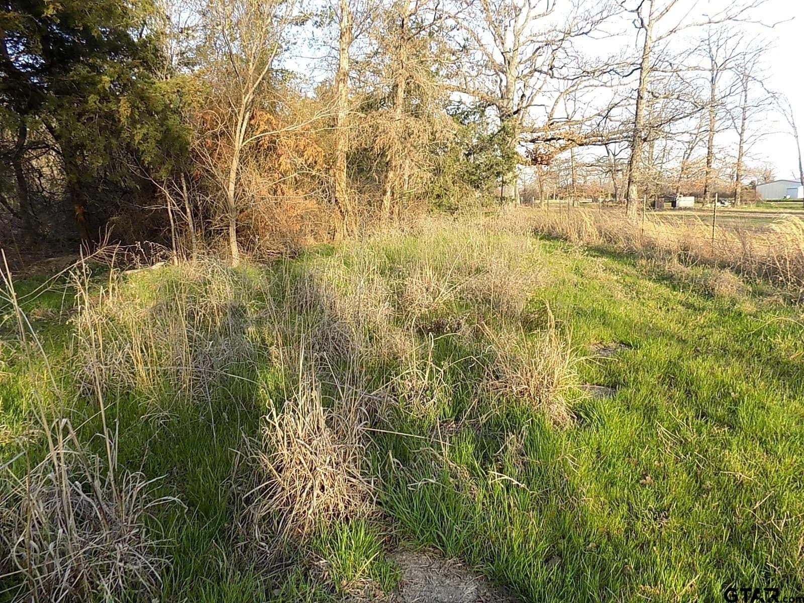 0.78 acres in Rains County - photo 5