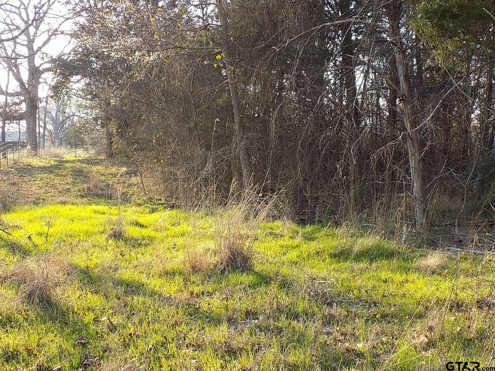 0.78 acres in Rains County - photo 11