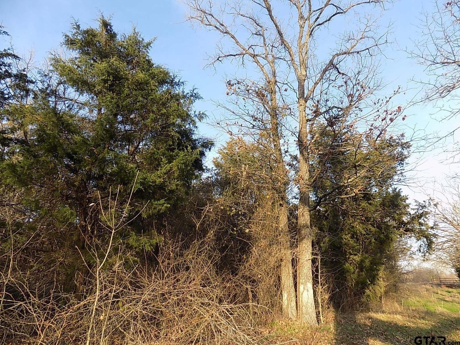 0.78 acres in Rains County - photo 7